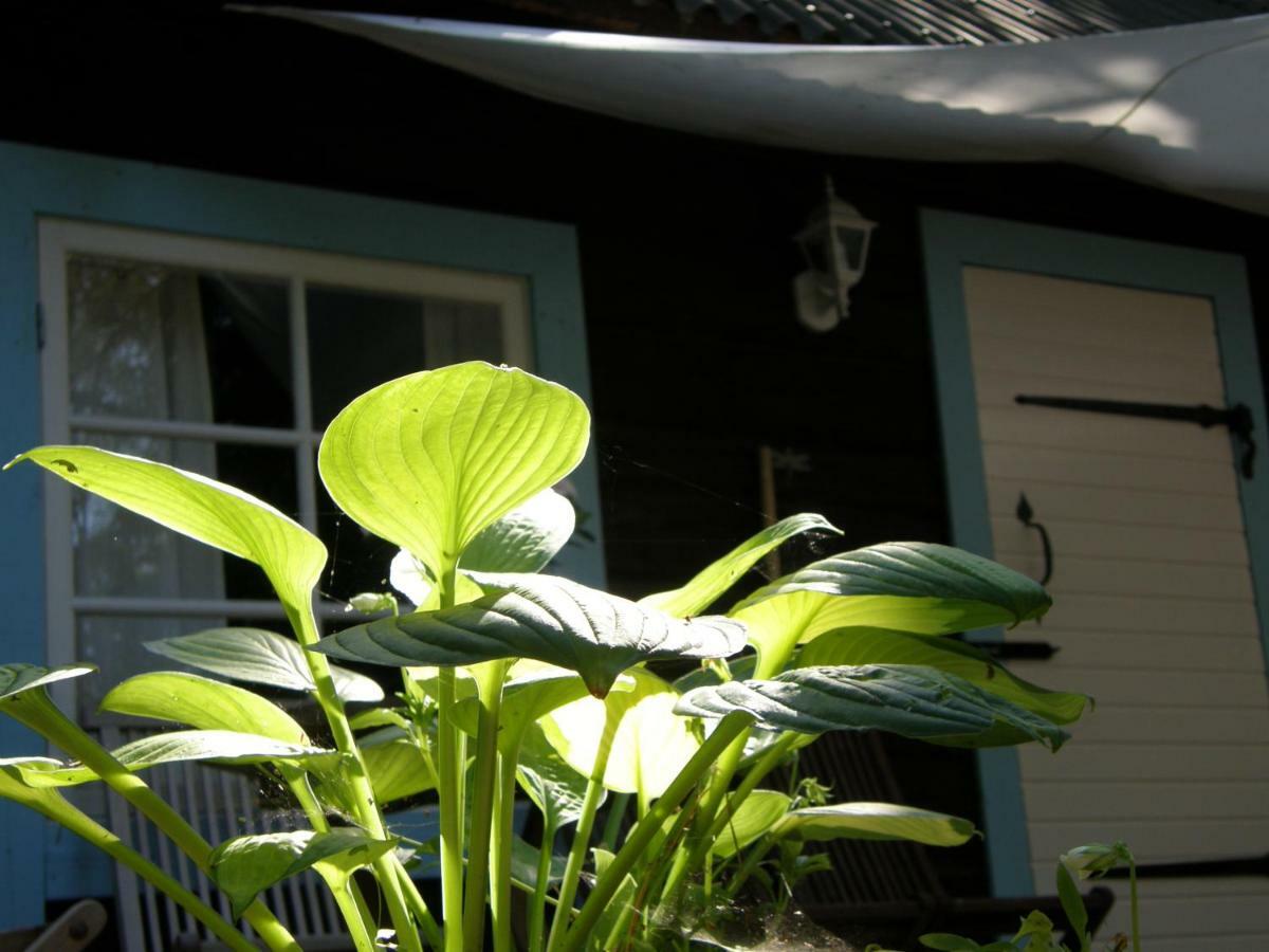 Ranna Villa Farm Kudema المظهر الخارجي الصورة